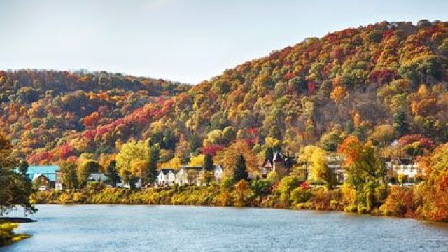 Unlocking the Best Times for Autumn Foliage with Interactive Tools