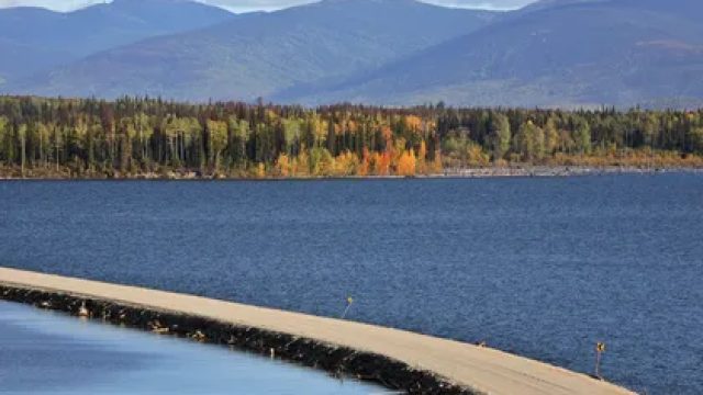 The Curious Case of a Floating Island: Nature's Mysteries Unveiled